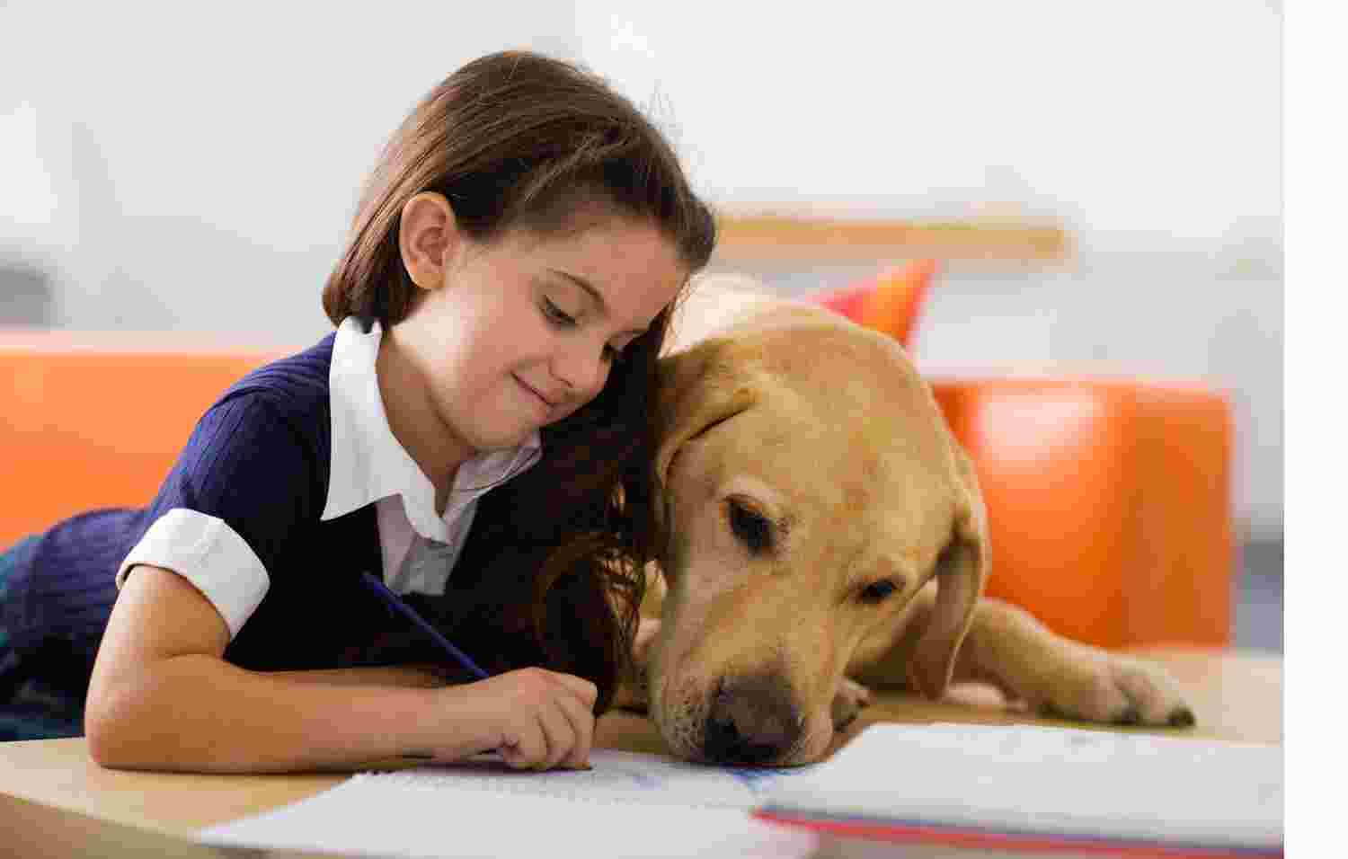 Reading with dog Reading with dog