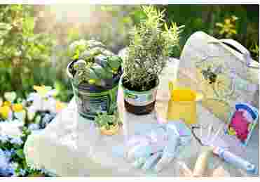 Art Activity for Adults: Decorate a flower pot/Actividad de arte para adultos: Decore un maceta. Vegetables