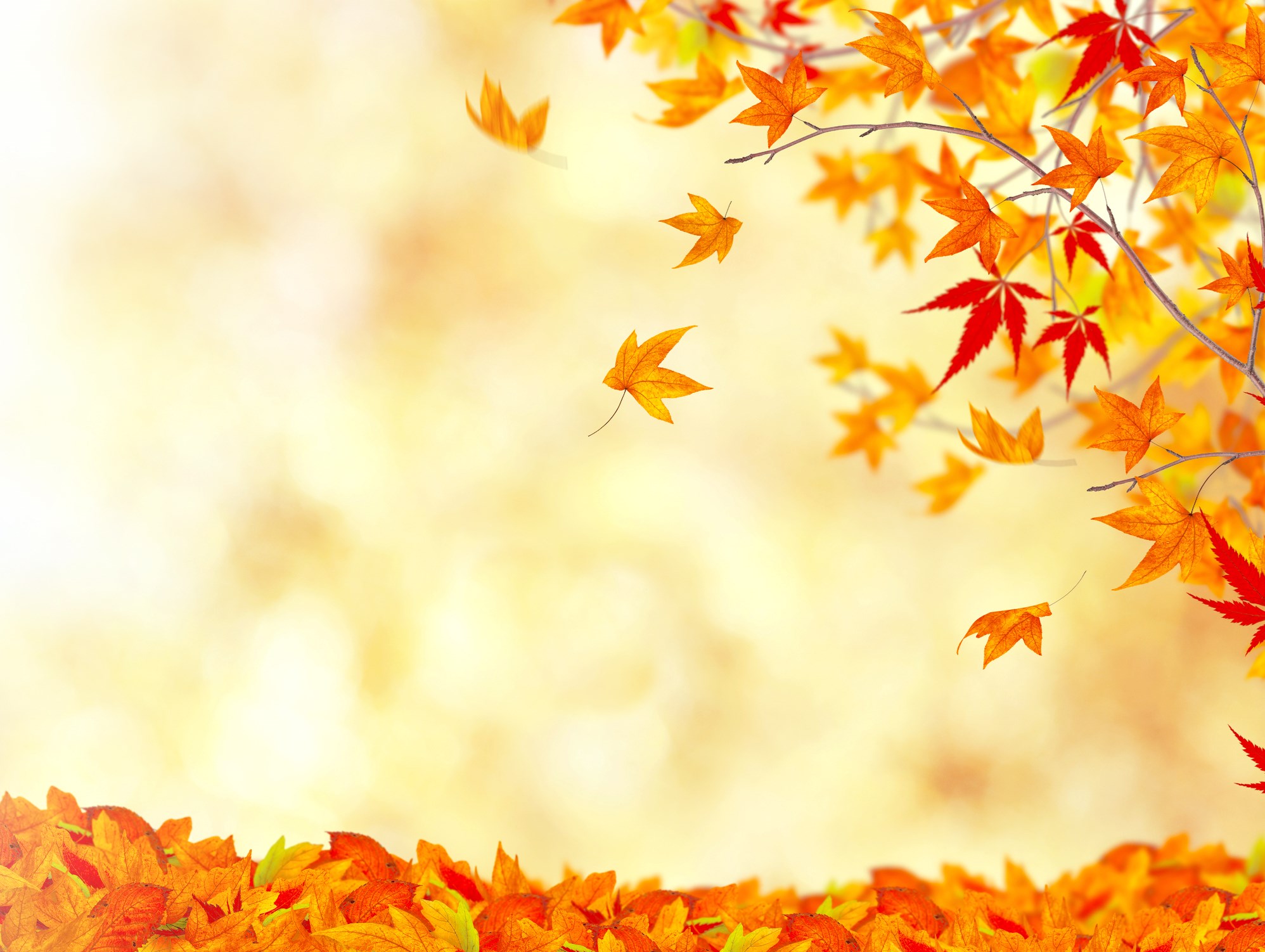 Red and Orange Leaves Falling on Blank Yellow Background