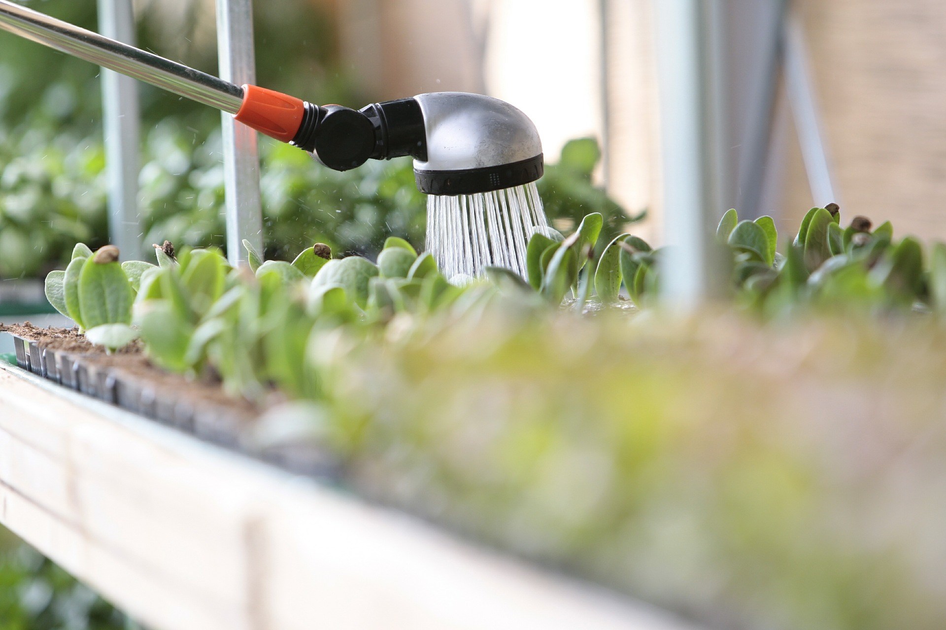 Close Up of Hose Watering a Gardening Bed Close Up of Hose Watering a Gardening Bed