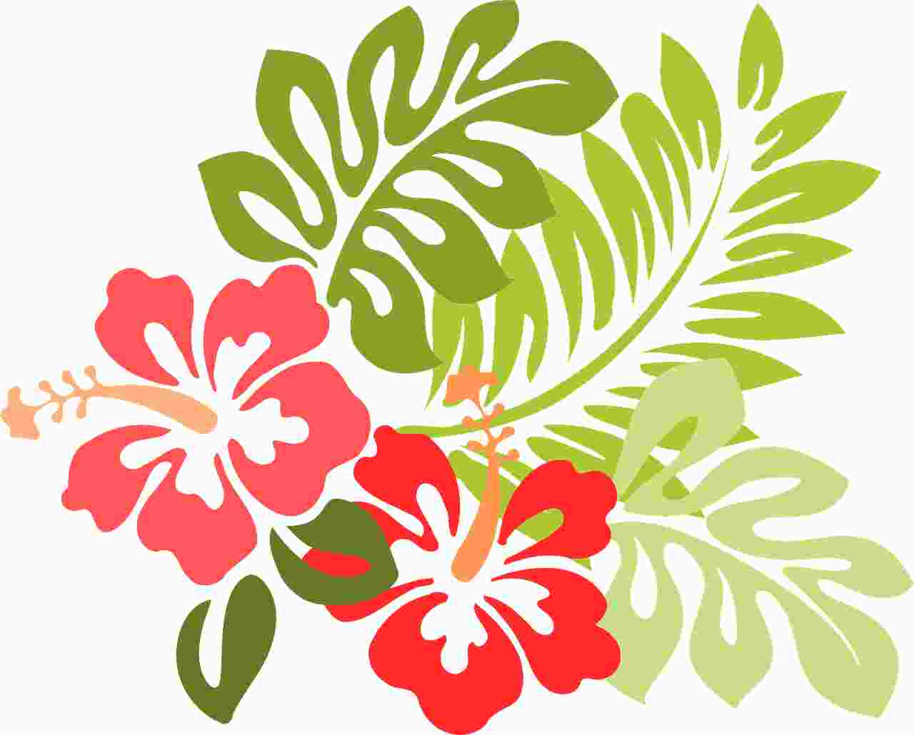 Hawaiian Slack Key Guitar Hibiscus