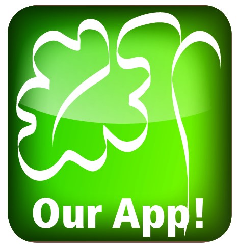 Our App