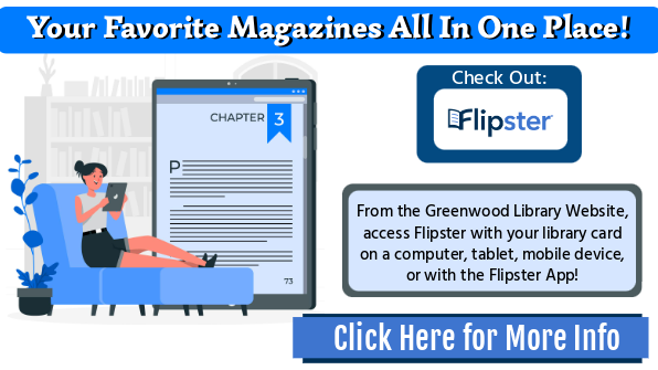 Flipster App Reference Widget 16:9
