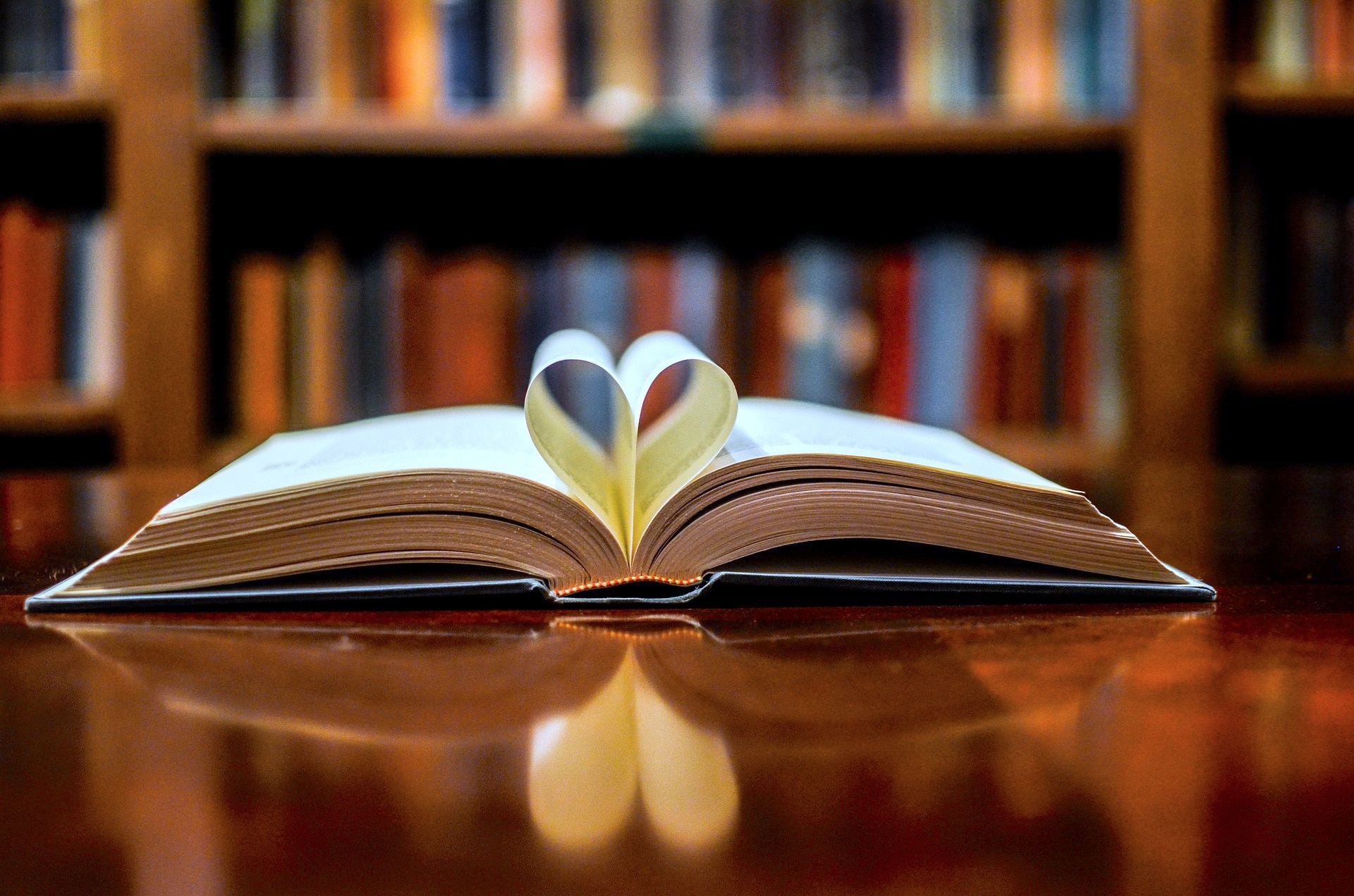 Open book with pages in the shape of a heart