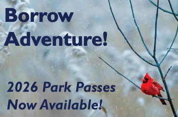 A photo of a male cardinal on a bare tree branch with a snowy field in the background. Text on the image reads "Borrow adventure! 2026 park passes now available".