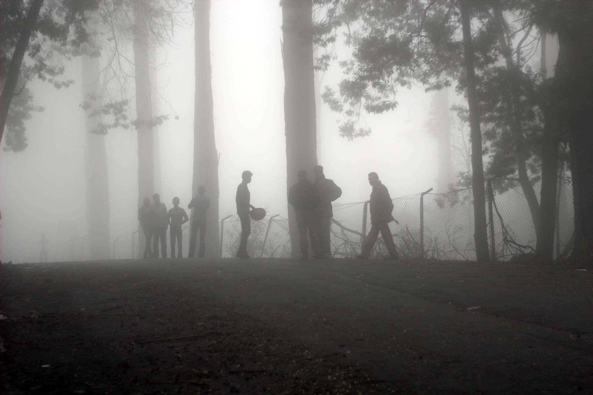 A black and white photo of human figures in a foggy wood.