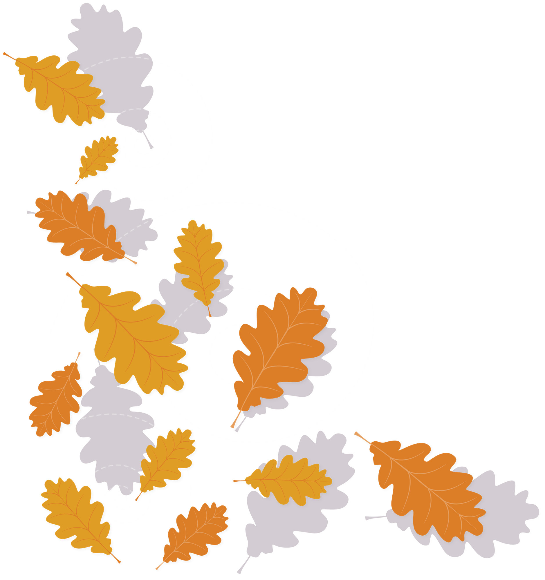 Orange and Yellow Leaves Falling