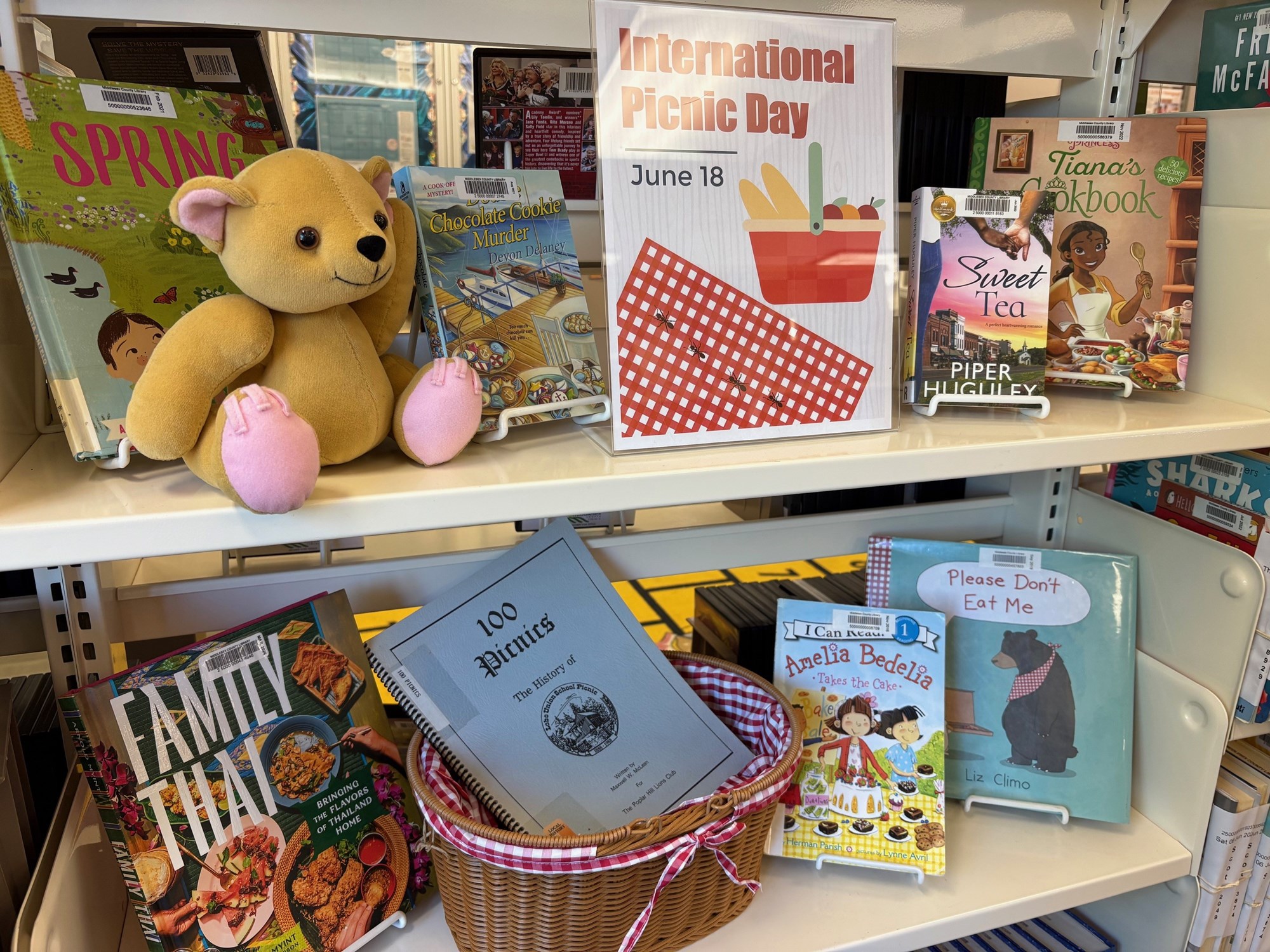 A photo of a picnic themed book display.