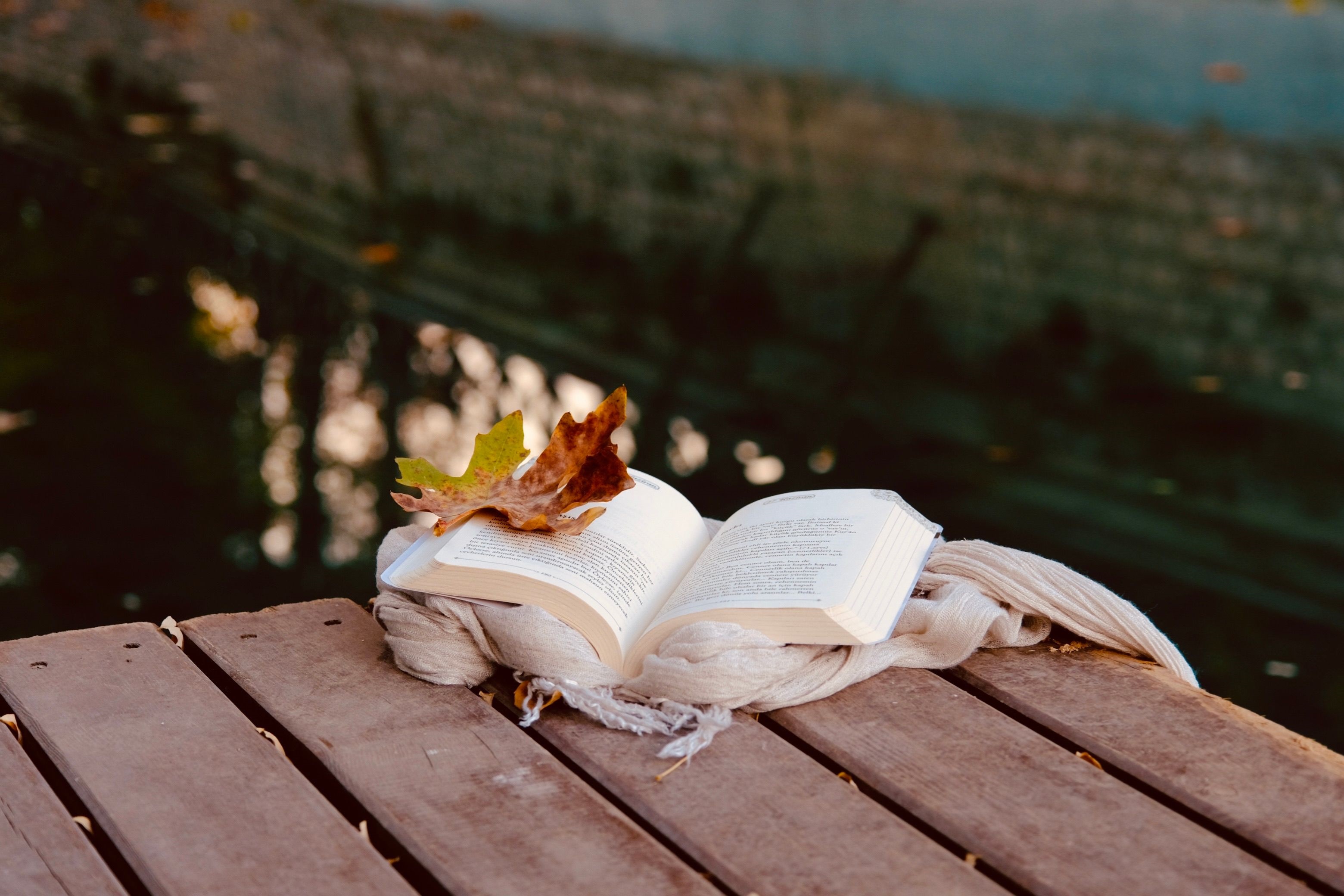 Open Book and Autumn Leaves on a Pond Deck