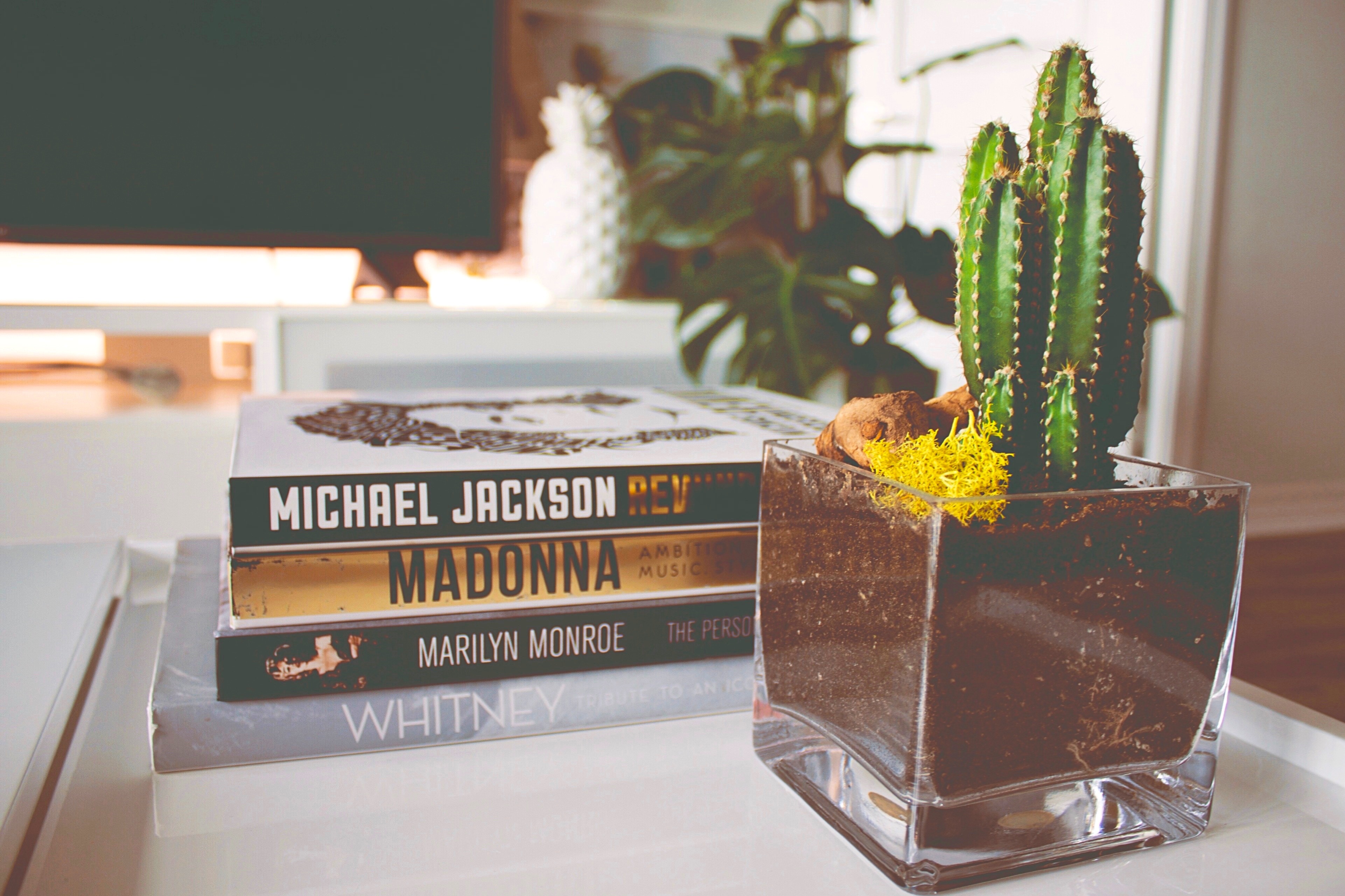 A Celebrity Authors of Stacked Books with Cactus plant