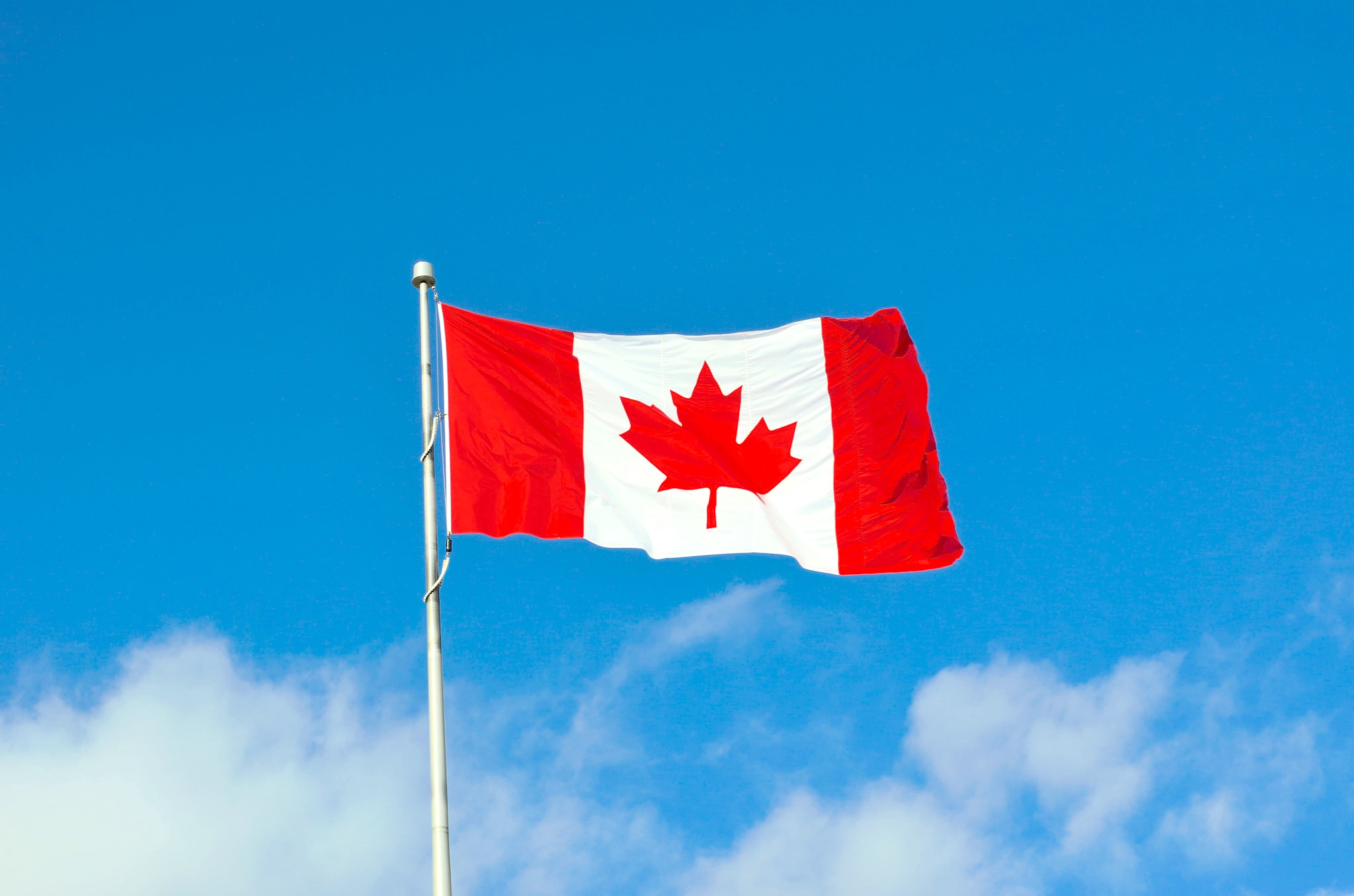 Canada canadian flag red maple leaf