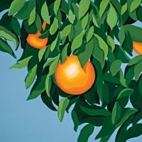 Cover of 'For the first time, again' with a section of an orange tree against a blue background.