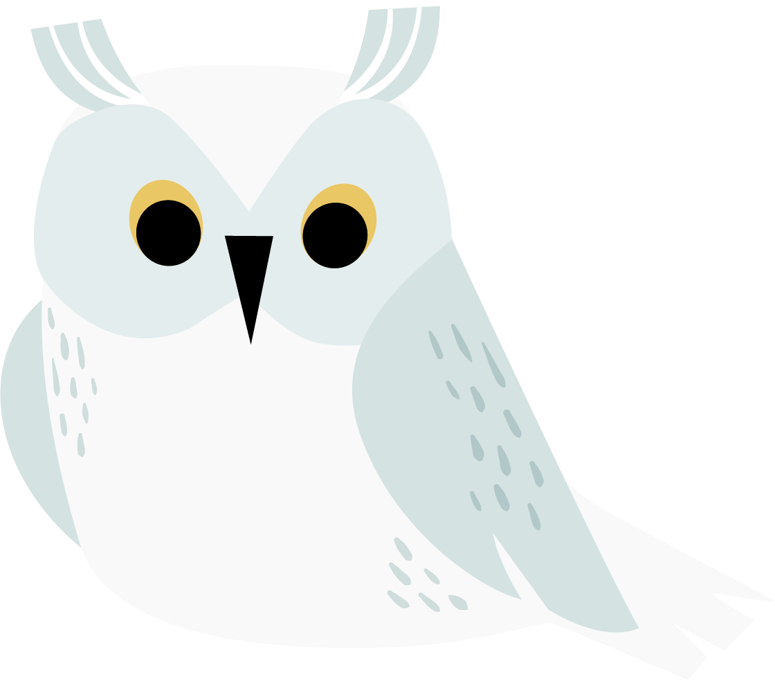 Icons - Winter Owl - White