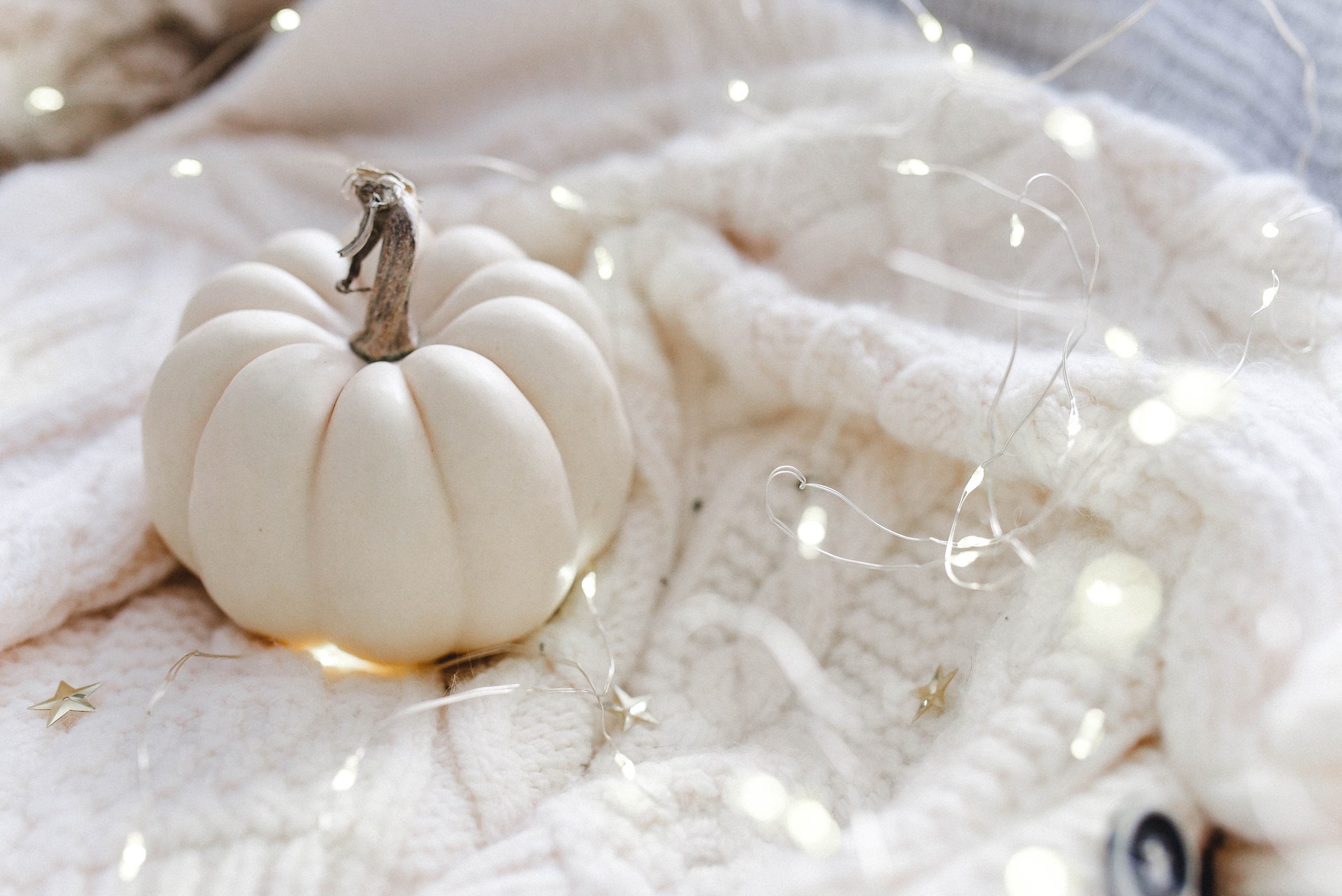 Mini White Pumpkin on Cozy Blanket