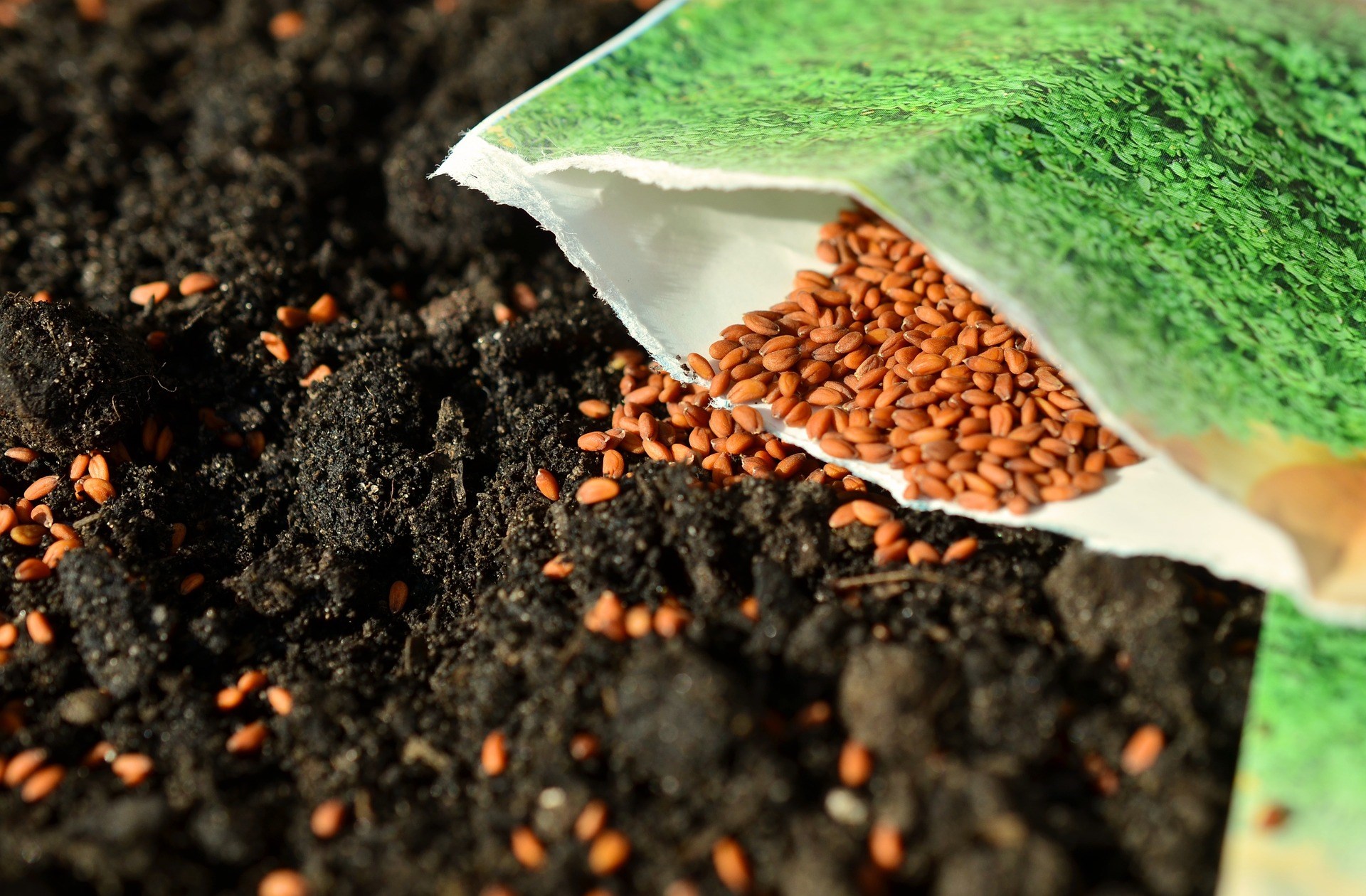 Seeds gardening packets planting soil spring