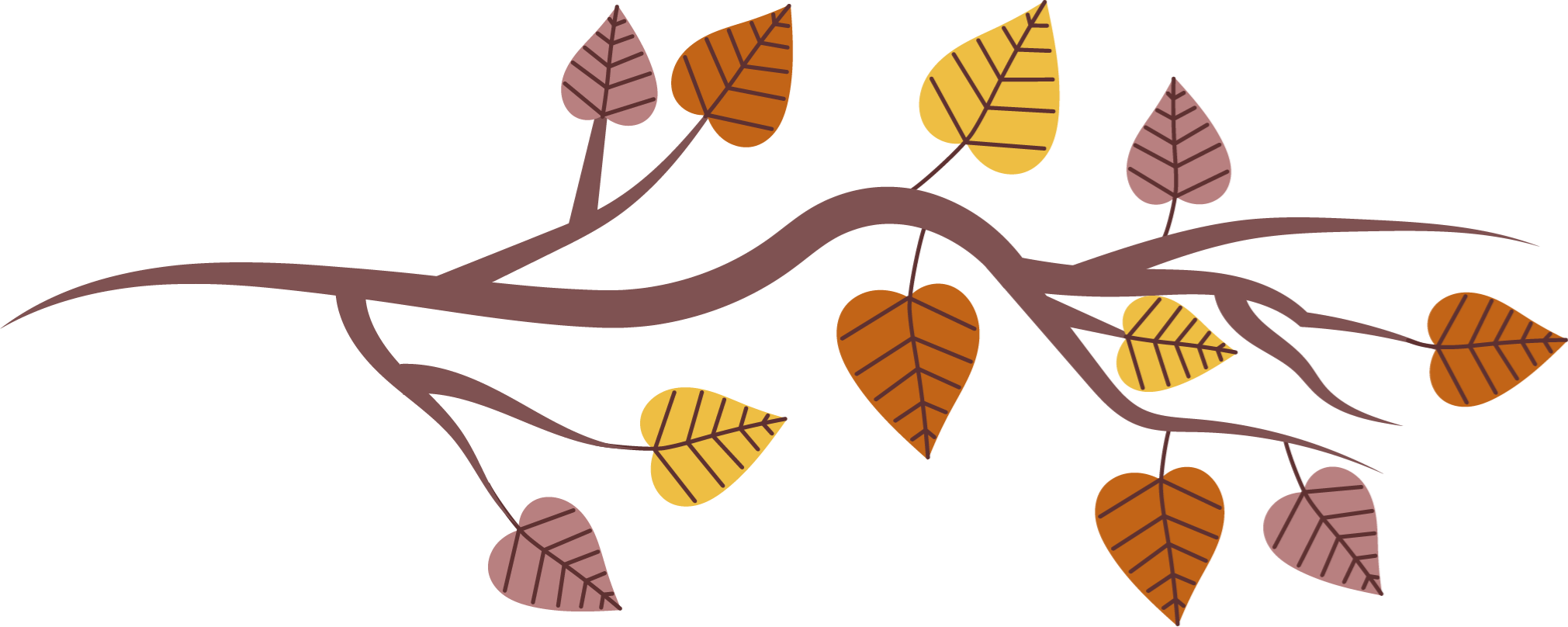 Yellow and orange Fall leaves on curved branch