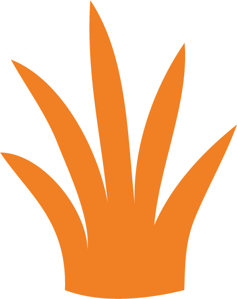 Icons - Foliage - Orange