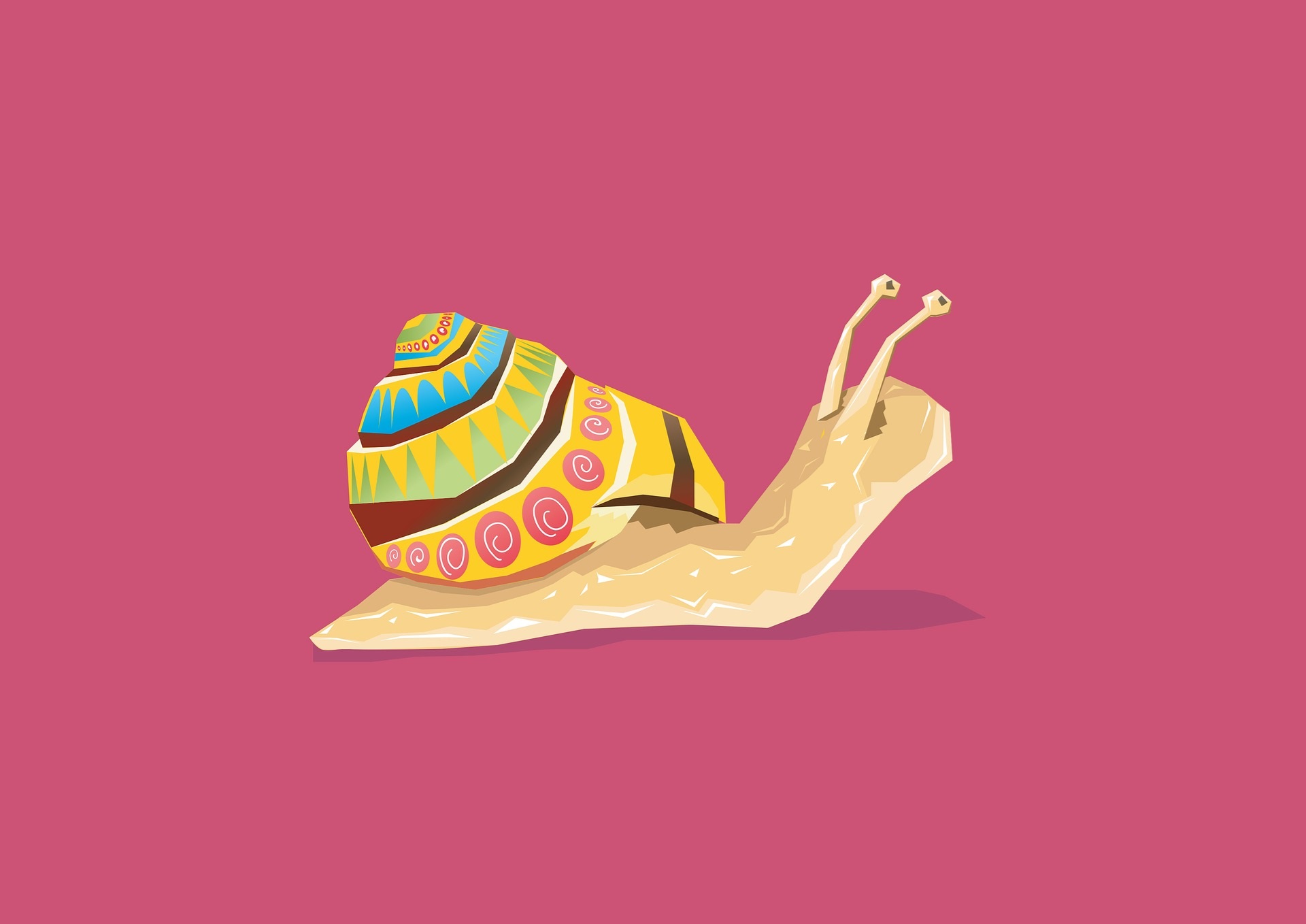 Snails insects bugs cartoons cute drawing