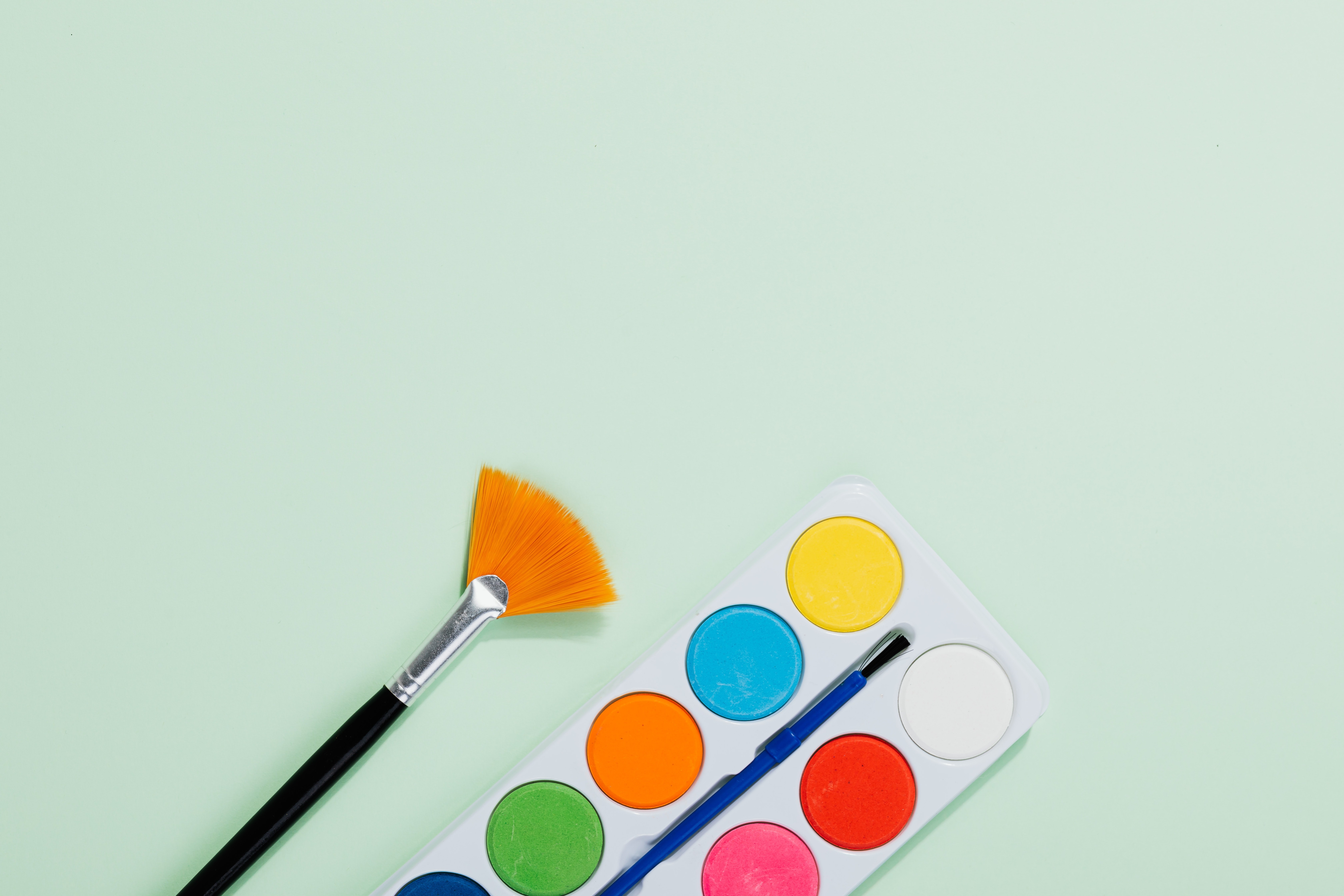 Paint Palette and Paintbrush on Green Background