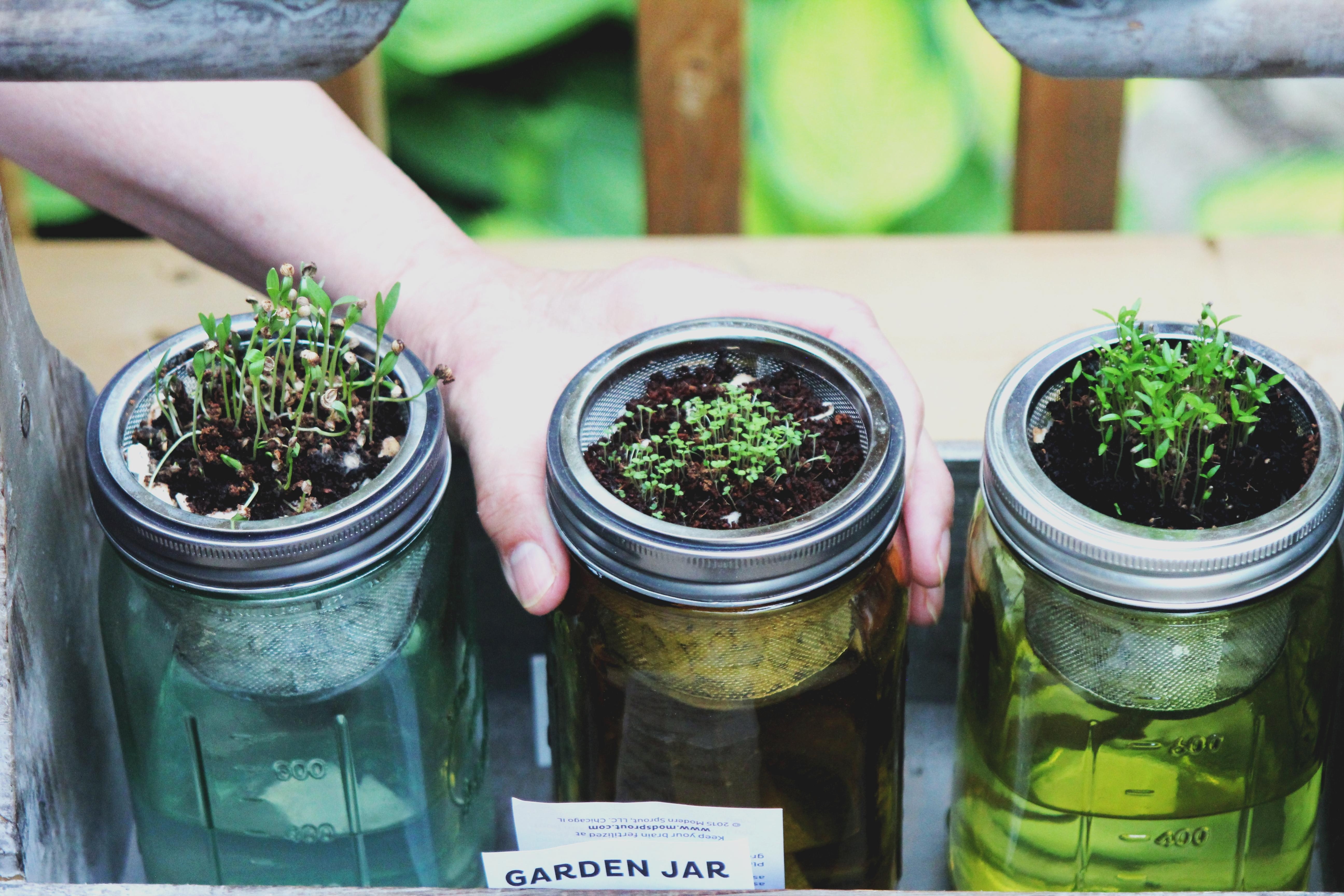 Garden Jars