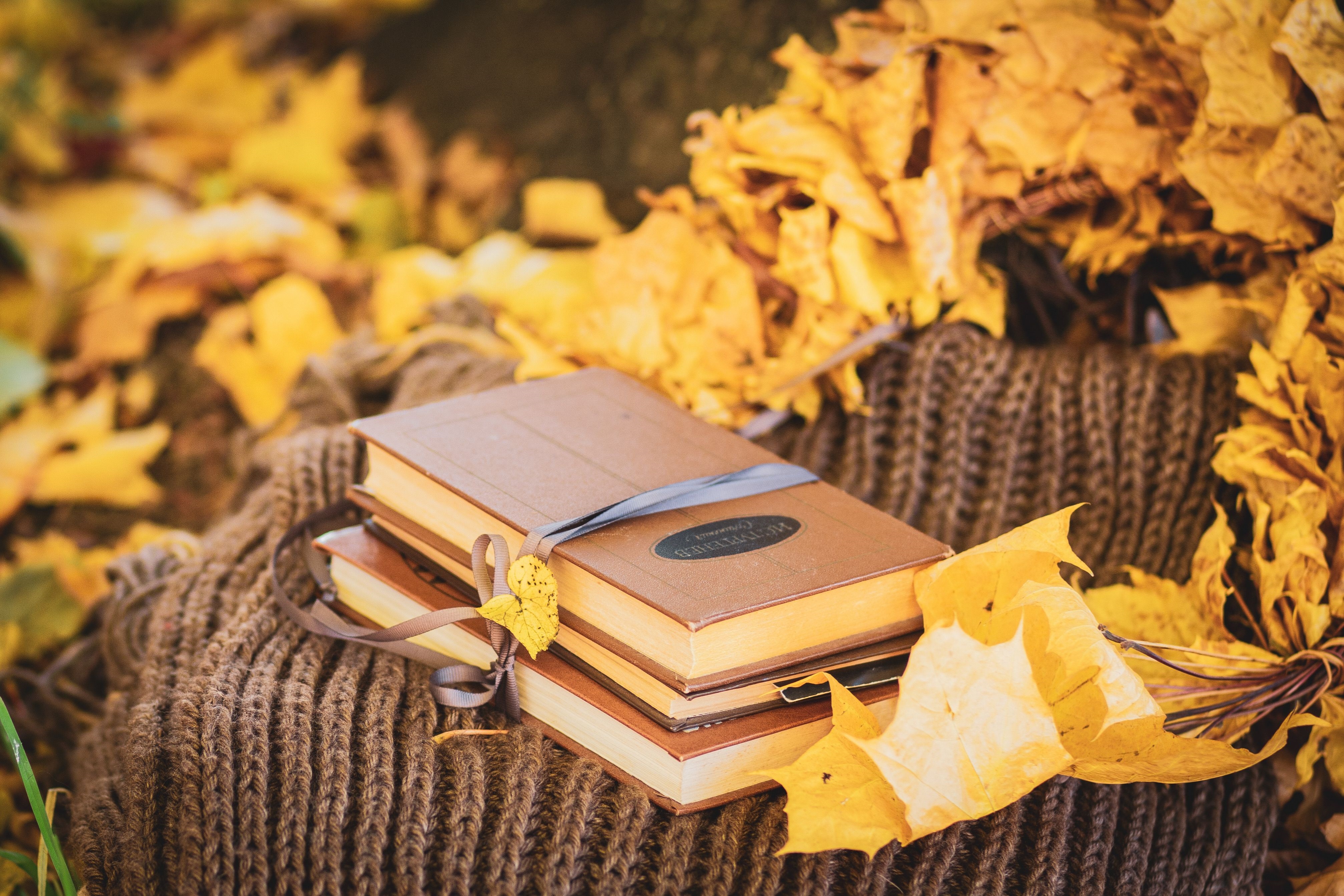 Stack of Books with Yellow Autumn Leaves on Blanket