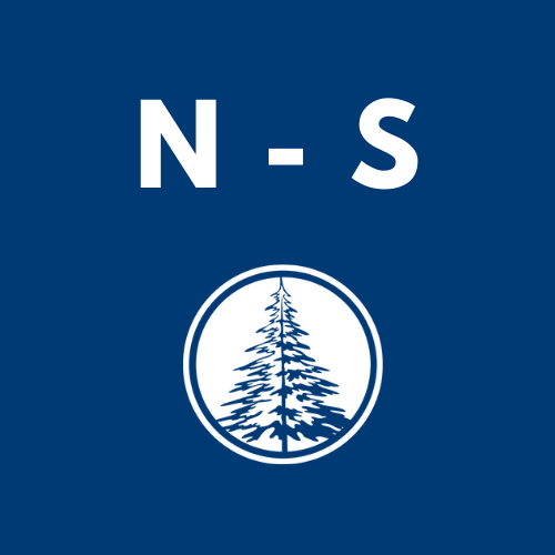 WSL Logo with letters N-S