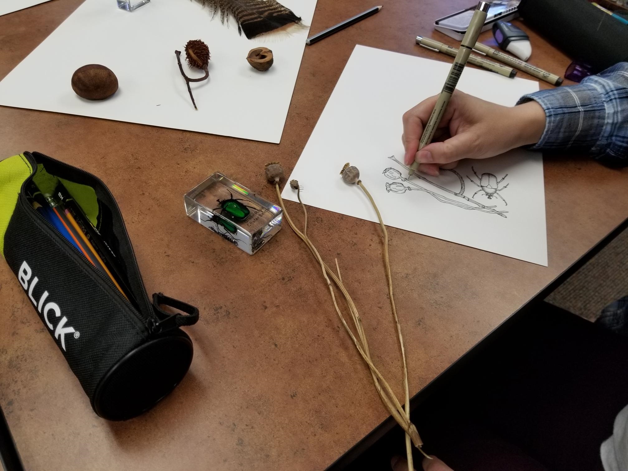 Picture of people drawing 