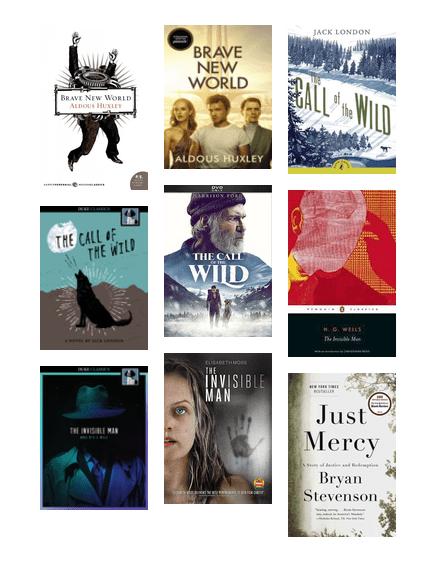 Image of book covers from the library's page to screen booklist
