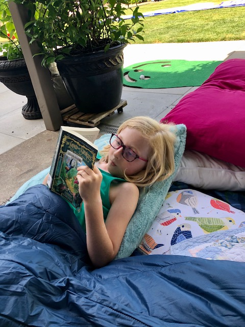 Picture of a Summer Reader