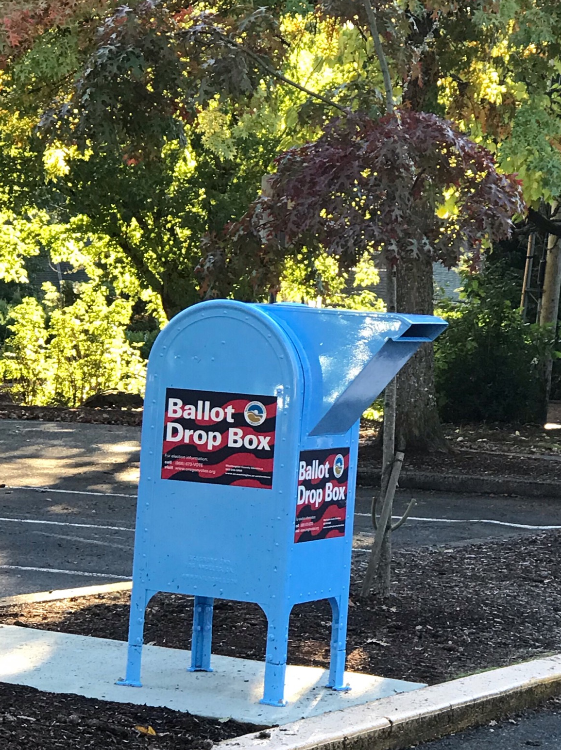 image of a ballot box. 
