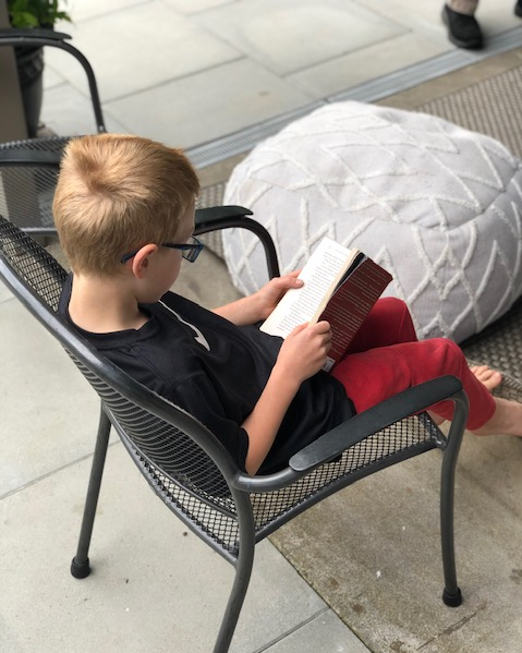 Picture of a Summer Reader