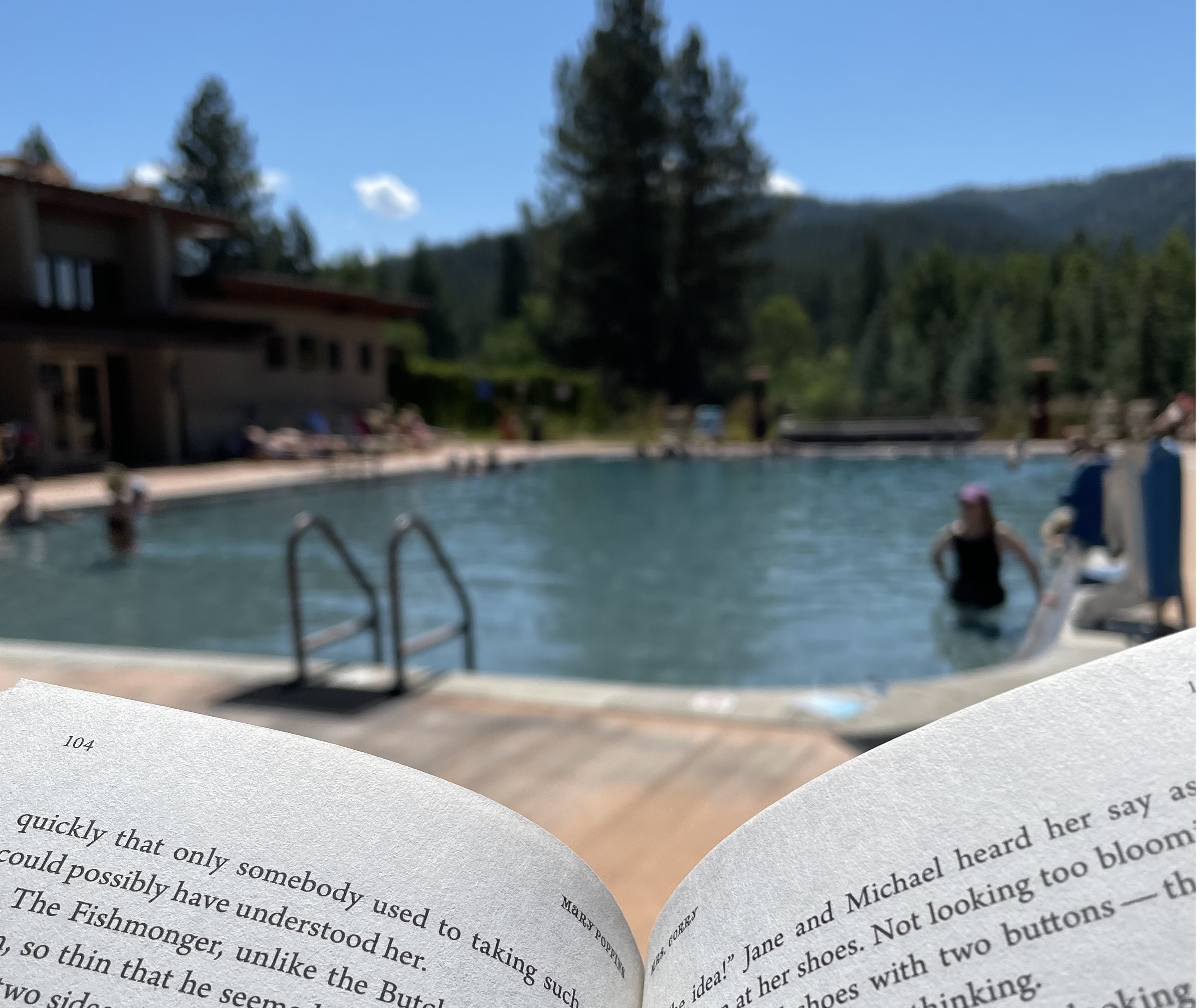 Image of a book by a pool
