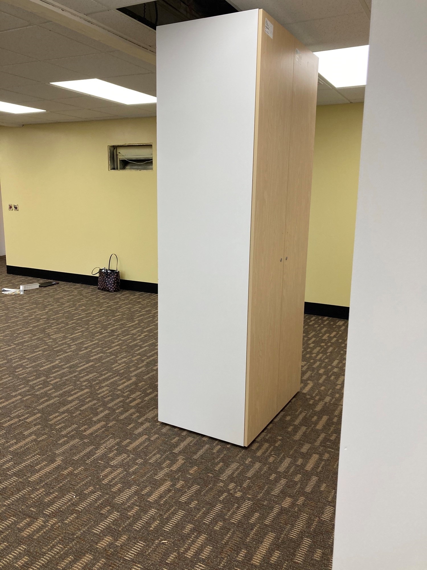 Remodel update picture: cabinets