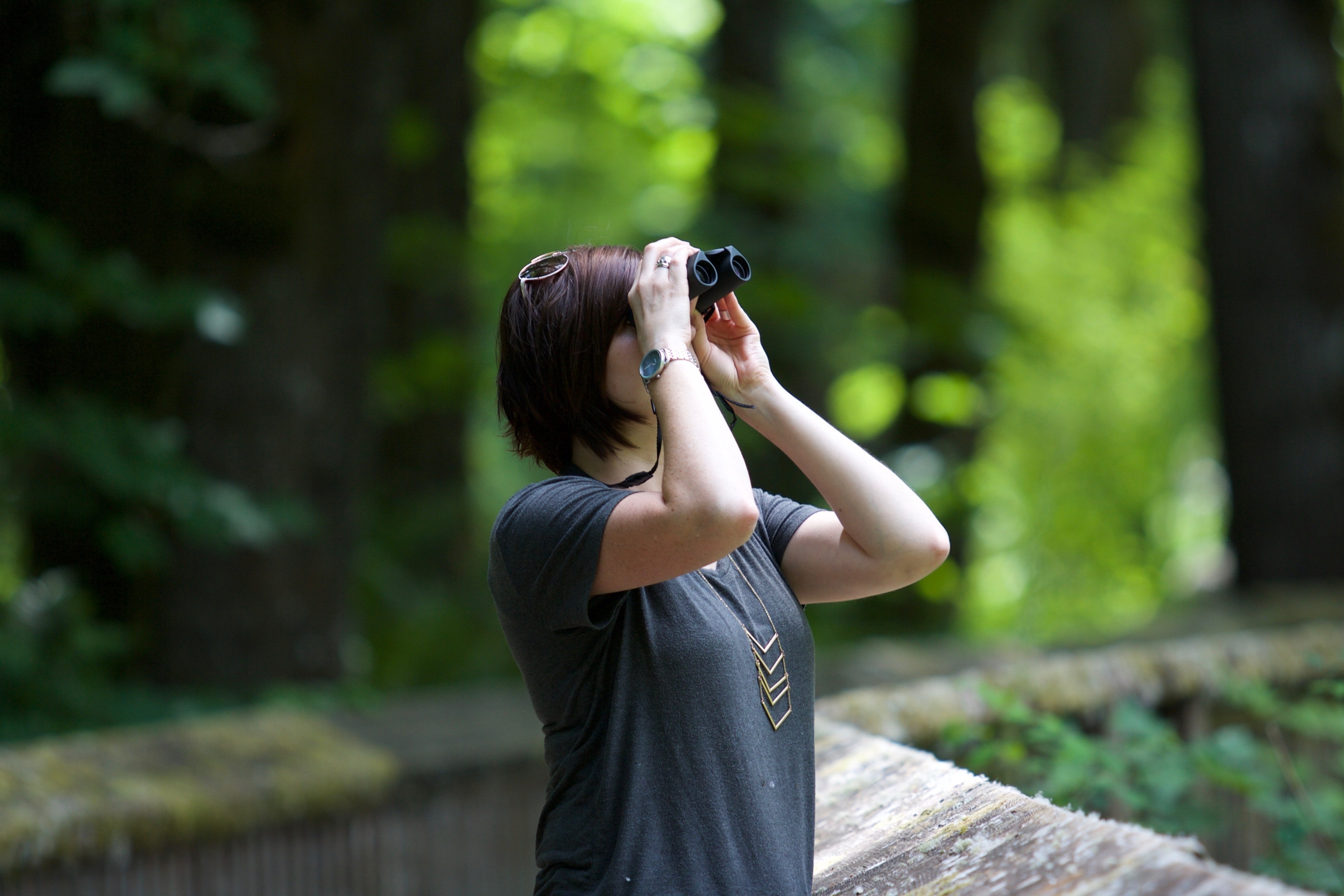 image of a person birdwatching