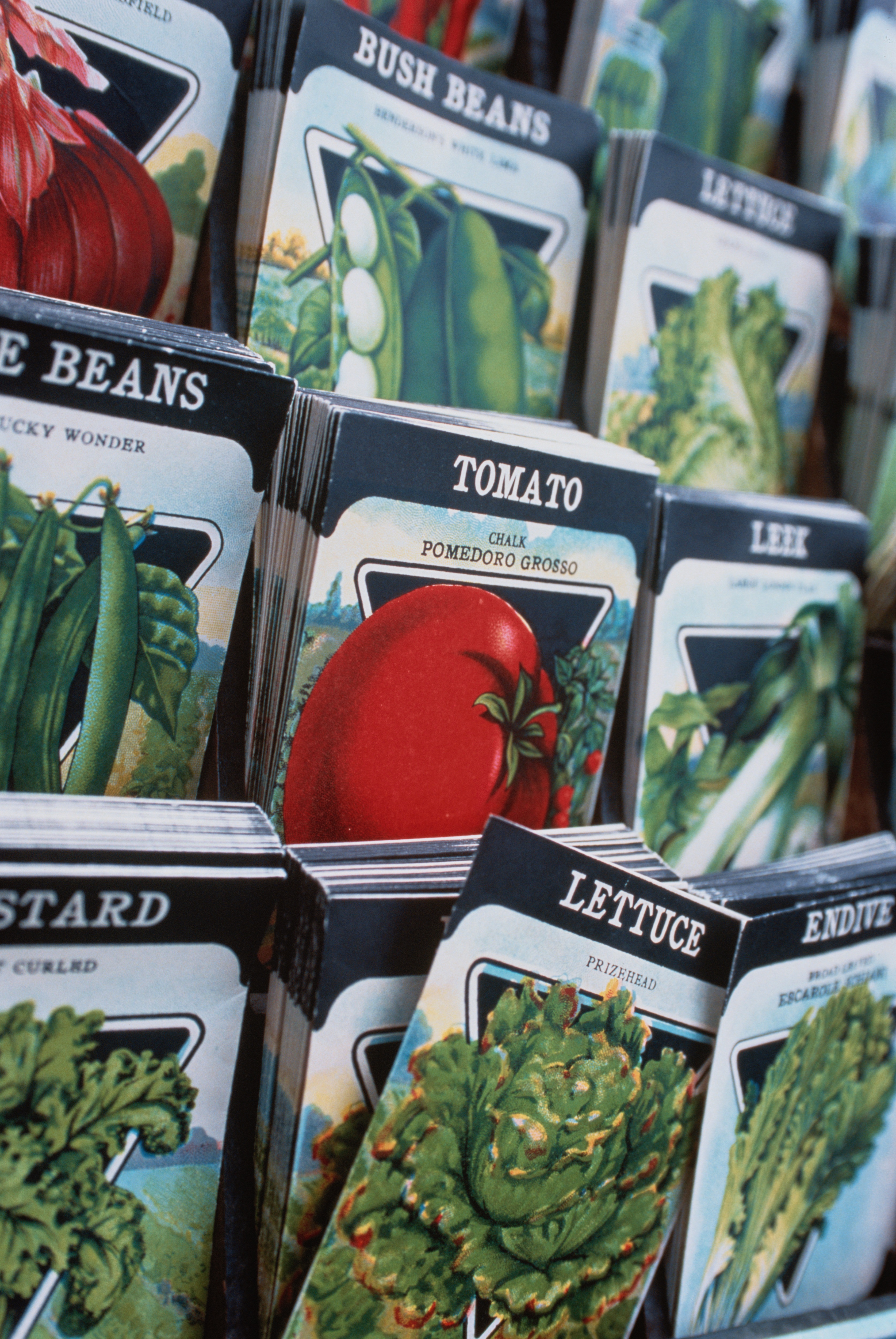 Close-up of Seed Packets 
