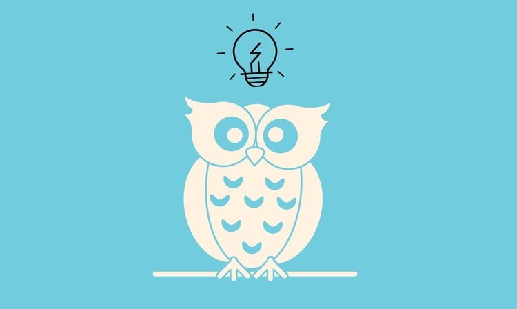 Turqouise background with white cartoon owl with a lightbulb over its head. 