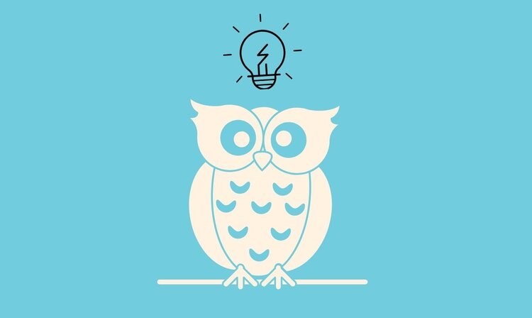 Owl with lightbulb over its head