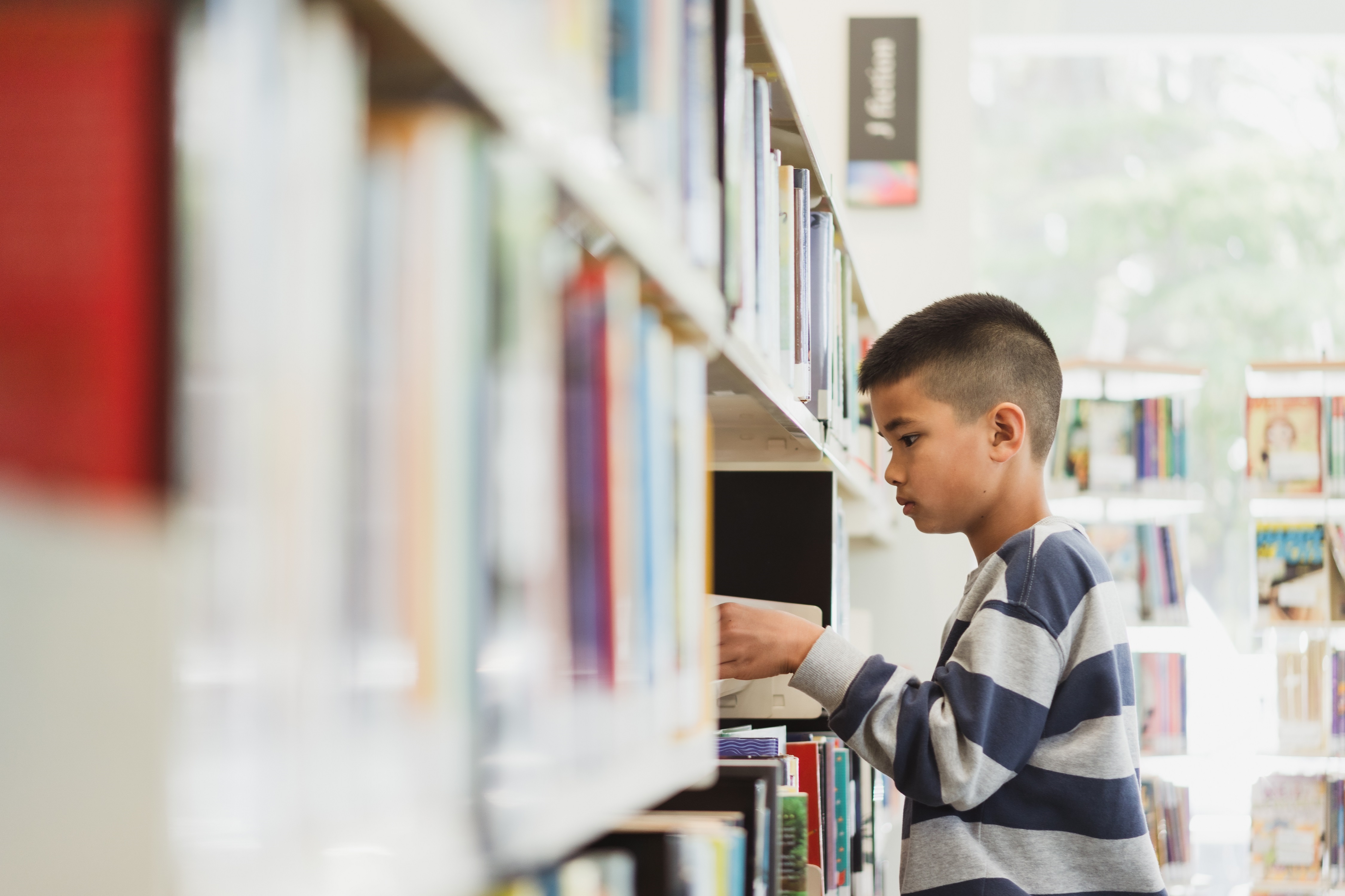 School Boy Arranging Books In Library 
