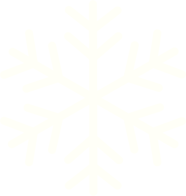 Icons - Single Snowflake - White