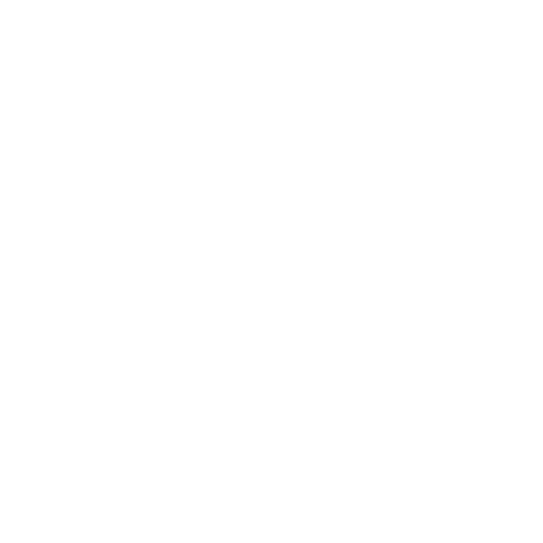 Icons - Single Rounded Four Pointed Star - White
