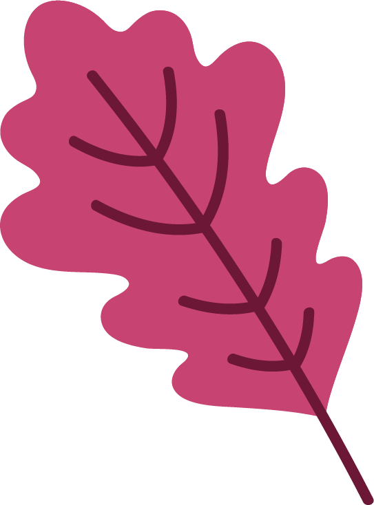 Icons - Single Fall Leaf  2 - Hot Pink