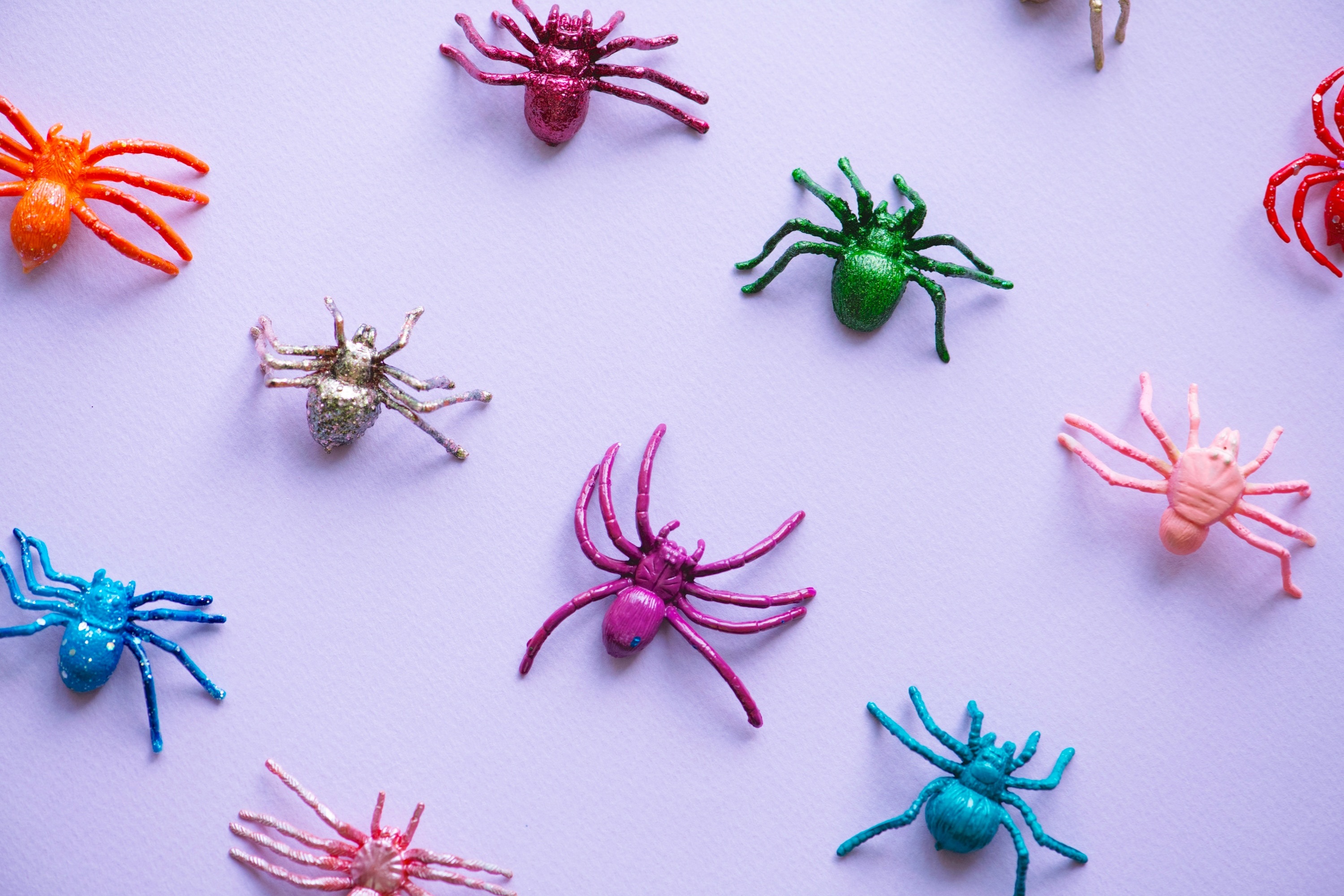 Colorful plastic spiders arranged on a light purple background