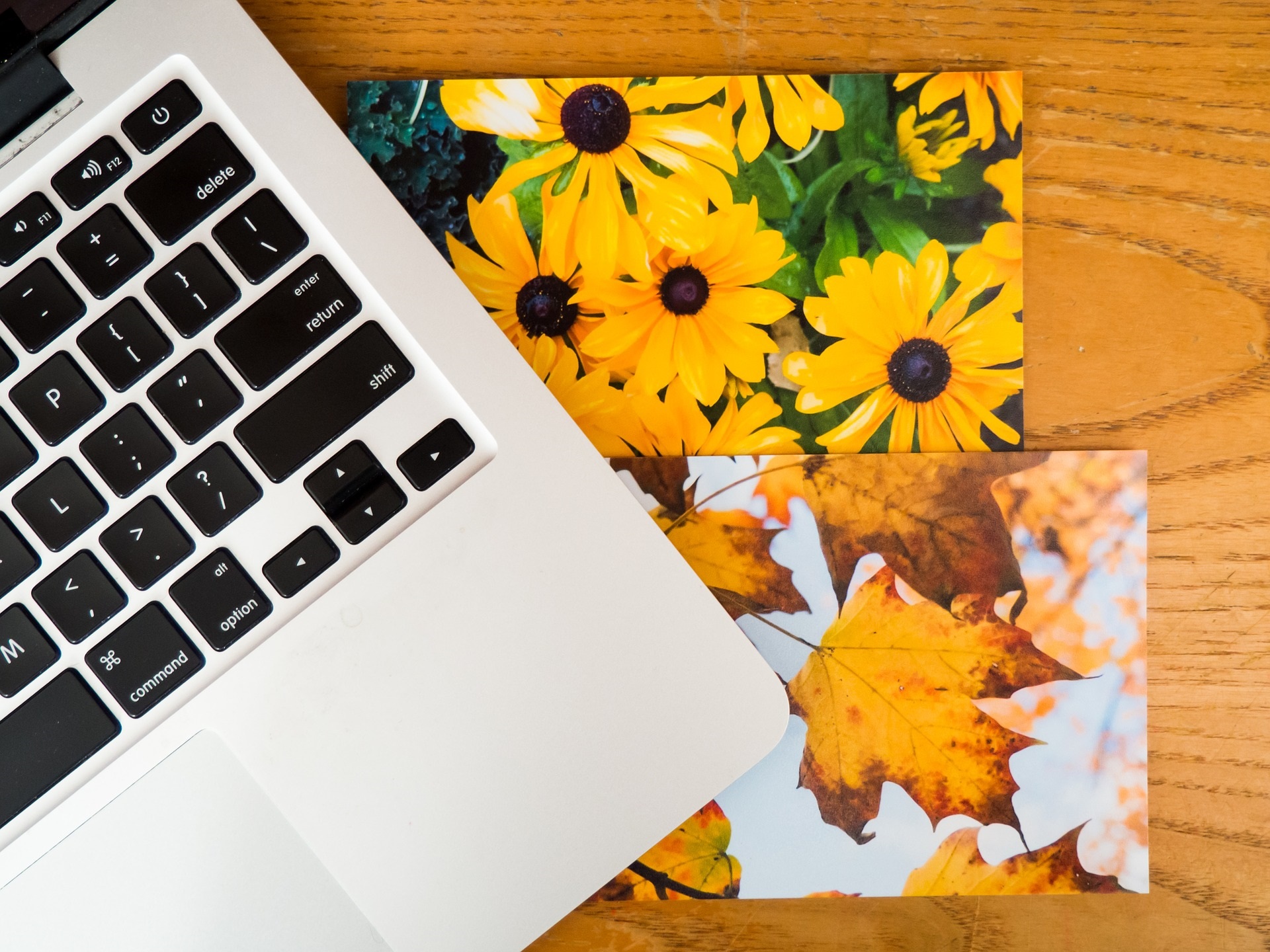 Photos of yellow flowers beside a laptop