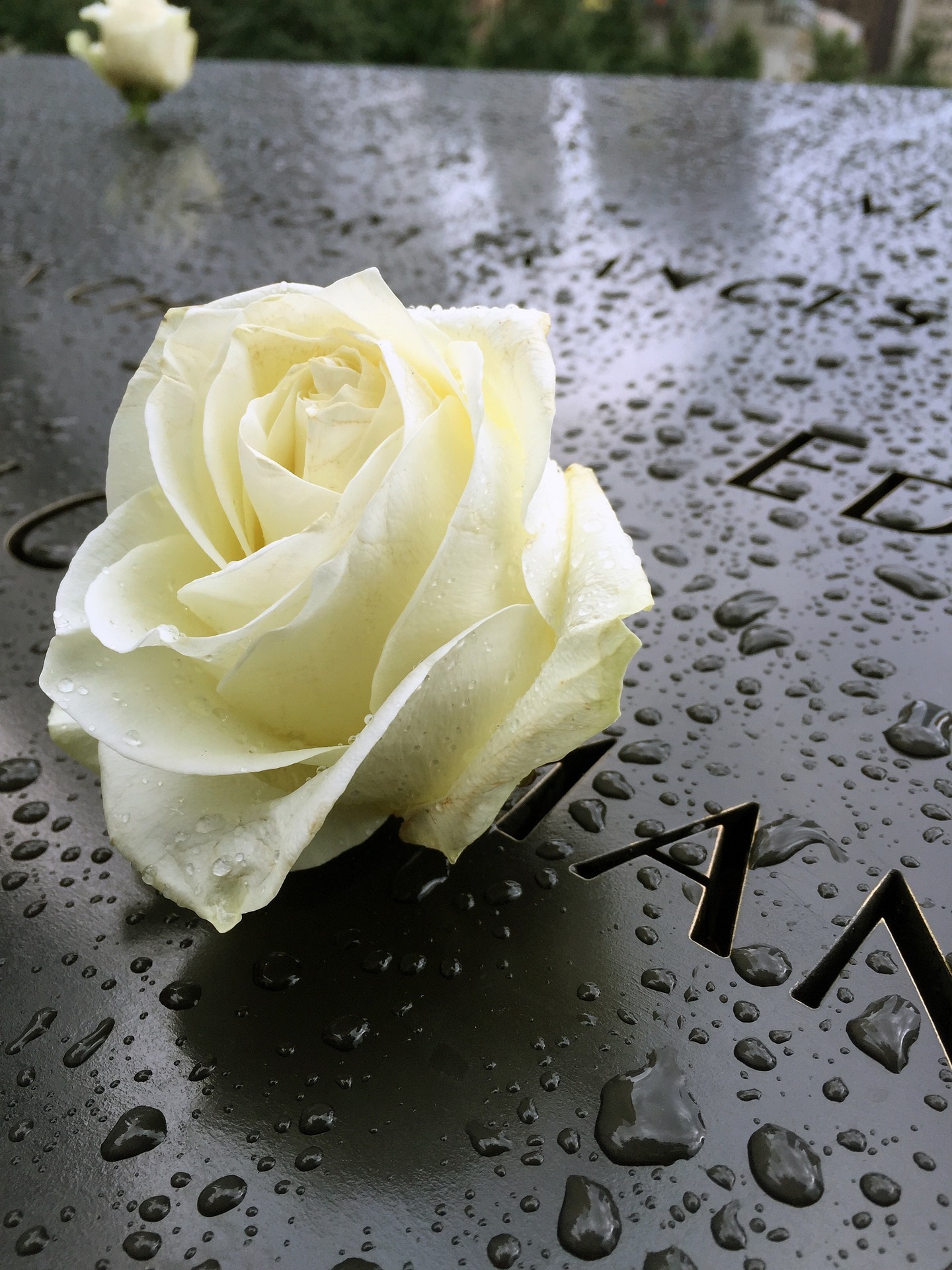 Memorial grave 911 twin towers september 11th