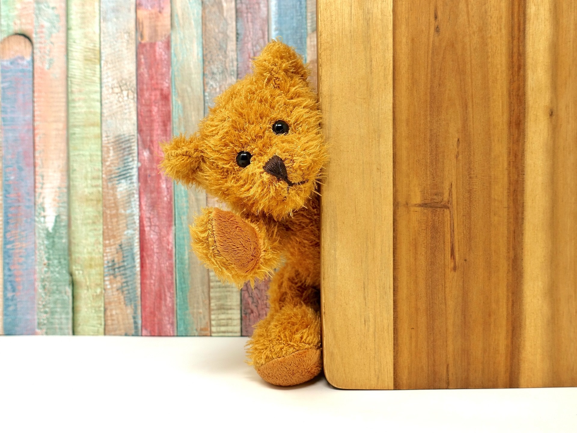 Teddy Bear on Wood Background