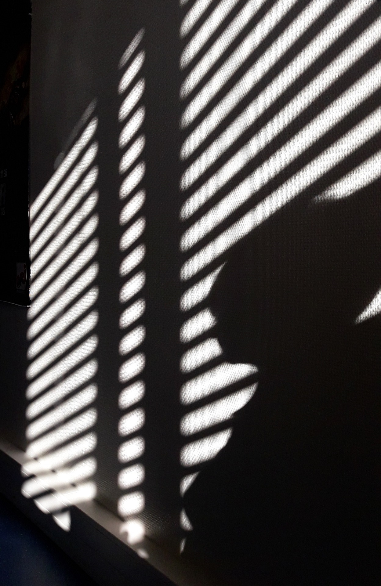 Mysterious Shadow of Person