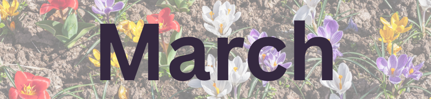 March with spring flowers in behind