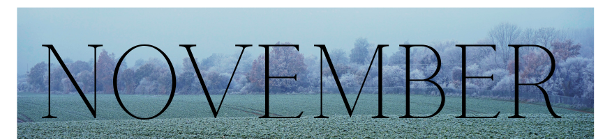 Muskoka Lakes Public Library November 2025 Newsletter Banner. The word November across a fall coloured field. 