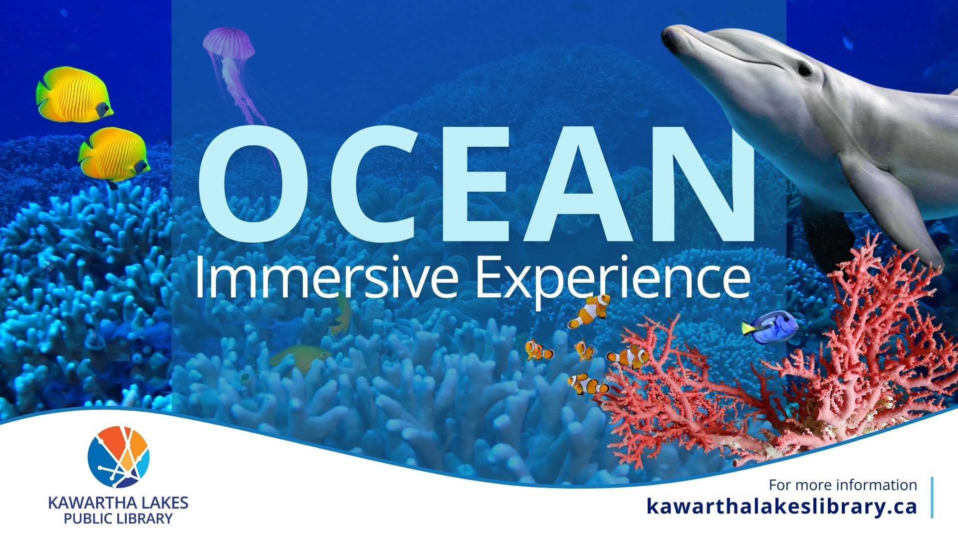 Senior Woman using Digital Tablet Senior Woman using Digital Tablet