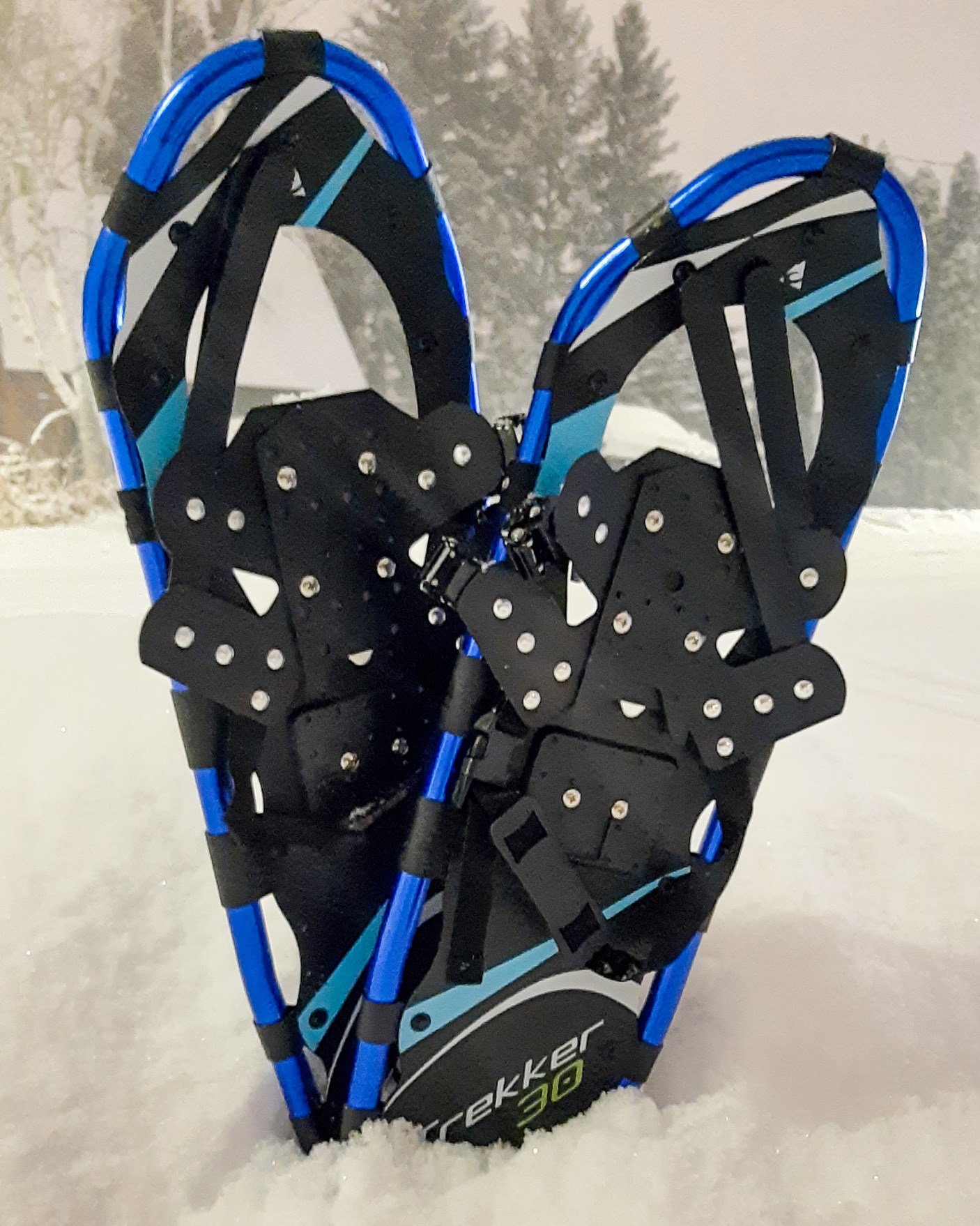 Snowshoes